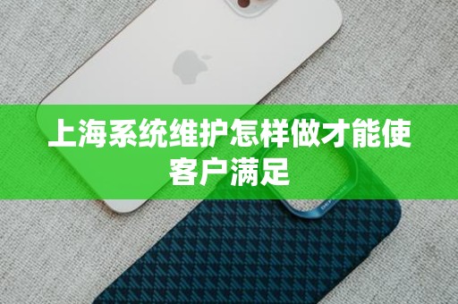 上海系统维护怎样做才能使客户满足