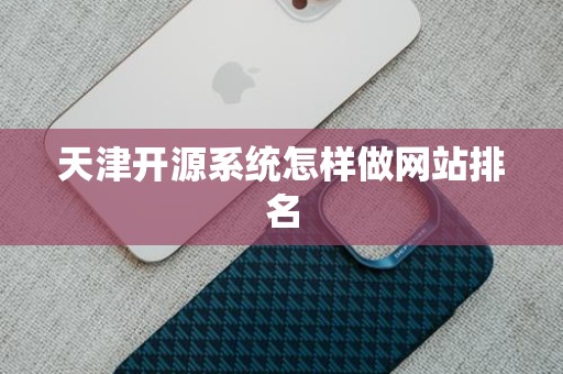 天津开源系统怎样做网站排名