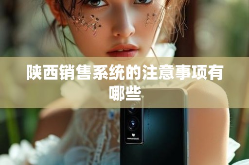 陕西销售系统的注意事项有哪些