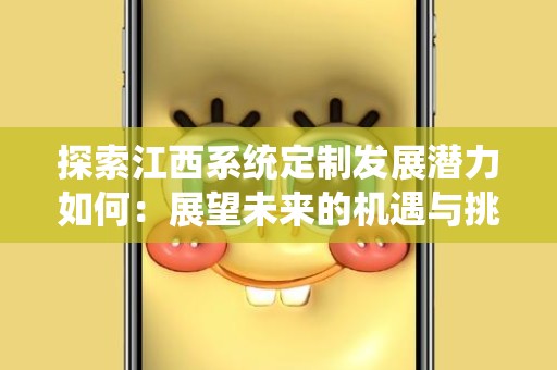 探索江西系统定制发展潜力如何：展望未来的机遇与挑战