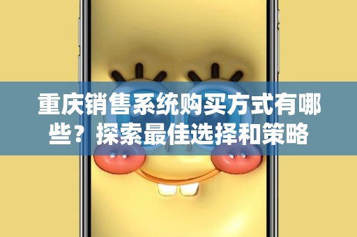 重庆销售系统购买方式有哪些？探索最佳选择和策略