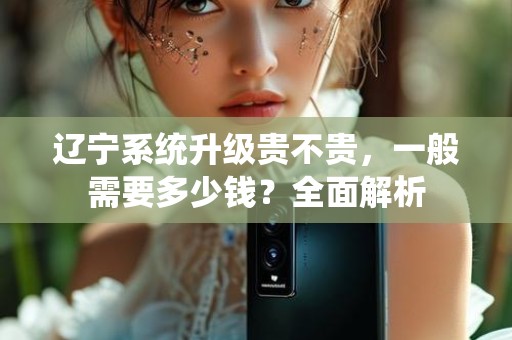 辽宁系统升级贵不贵，一般需要多少钱？全面解析