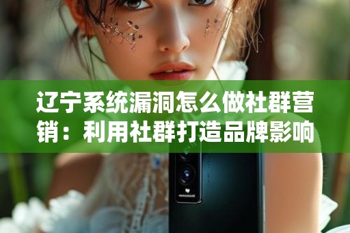 辽宁系统漏洞怎么做社群营销：利用社群打造品牌影响力