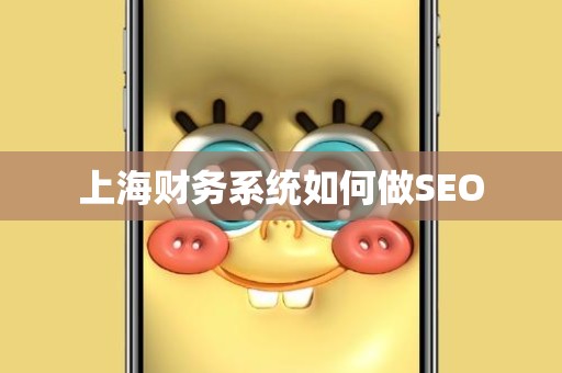 上海财务系统如何做SEO