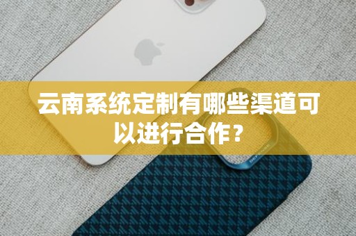 云南系统定制有哪些渠道可以进行合作？