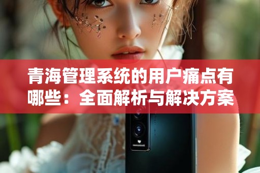 青海管理系统的用户痛点有哪些：全面解析与解决方案