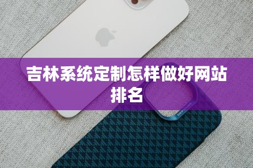 吉林系统定制怎样做好网站排名