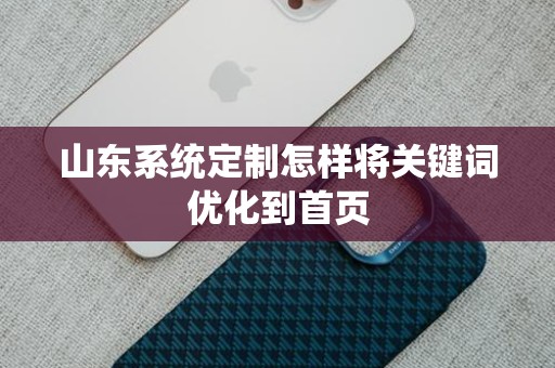 山东系统定制怎样将关键词优化到首页