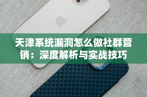 天津系统漏洞怎么做社群营销：深度解析与实战技巧