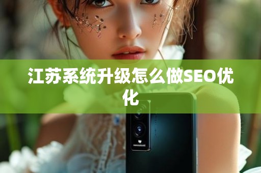 江苏系统升级怎么做SEO优化