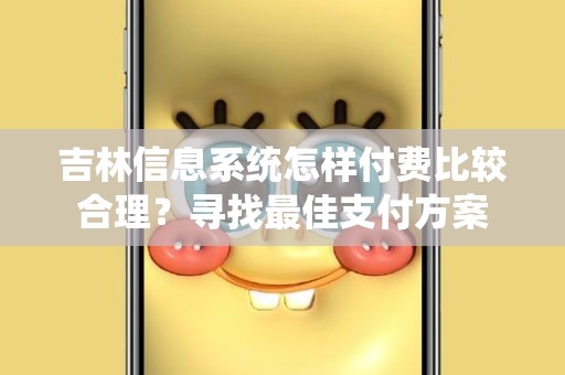 吉林信息系统怎样付费比较合理？寻找最佳支付方案