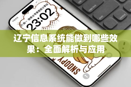 辽宁信息系统能做到哪些效果：全面解析与应用