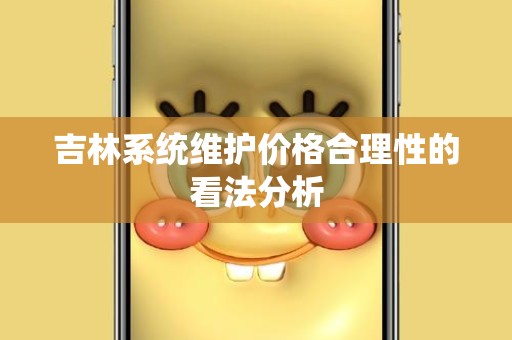 吉林系统维护价格合理性的看法分析