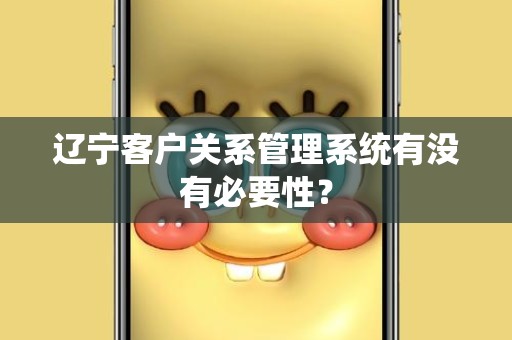 辽宁客户关系管理系统有没有必要性？