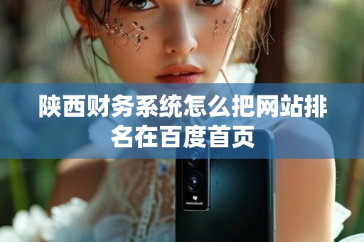 陕西财务系统怎么把网站排名在百度首页
