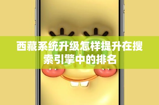 西藏系统升级怎样提升在搜索引擎中的排名