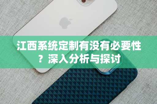 江西系统定制有没有必要性？深入分析与探讨