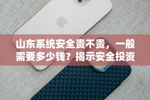 山东系统安全贵不贵，一般需要多少钱？揭示安全投资的真相
