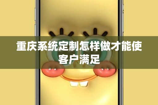 重庆系统定制怎样做才能使客户满足