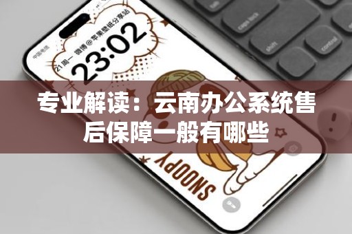 专业解读：云南办公系统售后保障一般有哪些