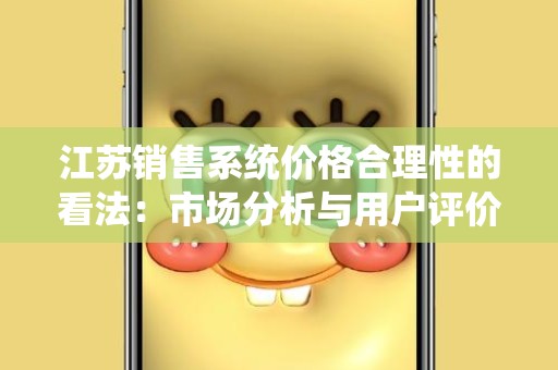 江苏销售系统价格合理性的看法：市场分析与用户评价