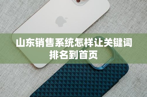 山东销售系统怎样让关键词排名到首页
