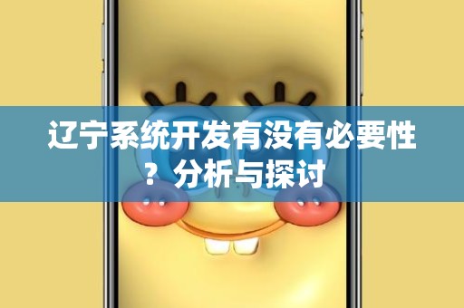 辽宁系统开发有没有必要性？分析与探讨