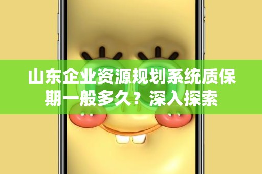 山东企业资源规划系统质保期一般多久？深入探索