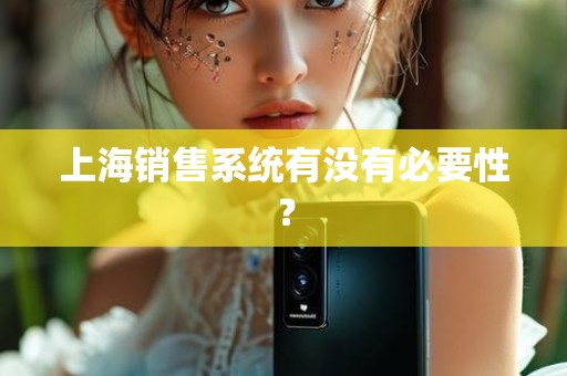 上海销售系统有没有必要性？