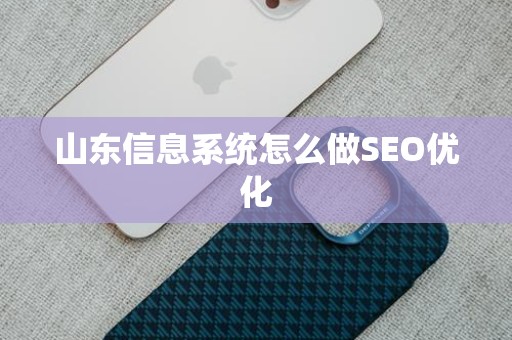 山东信息系统怎么做SEO优化