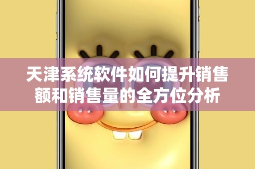 天津系统软件如何提升销售额和销售量的全方位分析