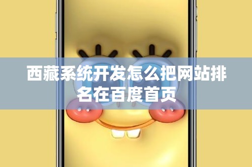西藏系统开发怎么把网站排名在百度首页