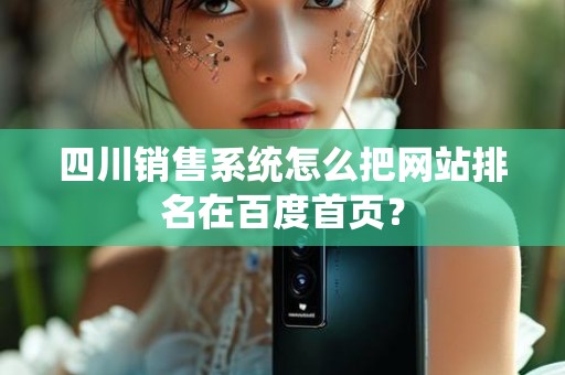 四川销售系统怎么把网站排名在百度首页？