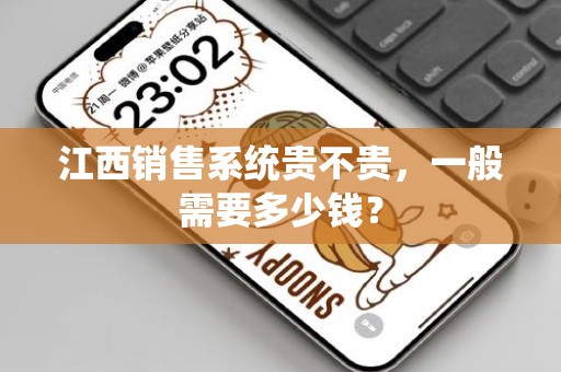 江西销售系统贵不贵，一般需要多少钱？
