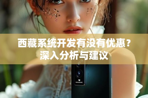 西藏系统开发有没有优惠？深入分析与建议