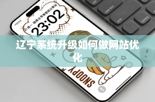 辽宁系统升级如何做网站优化
