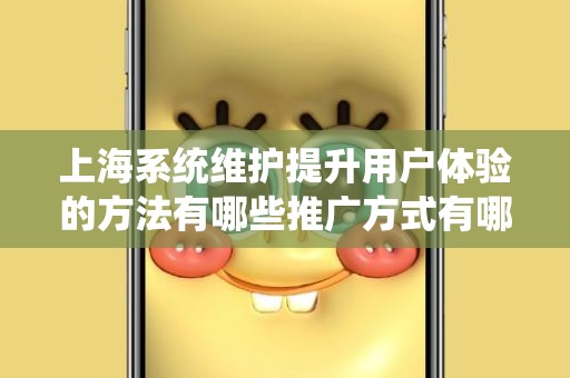 上海系统维护提升用户体验的方法有哪些推广方式有哪些