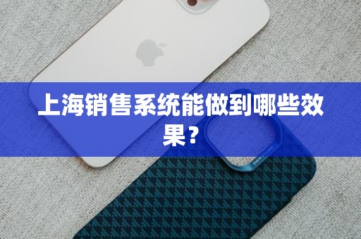 上海销售系统能做到哪些效果？