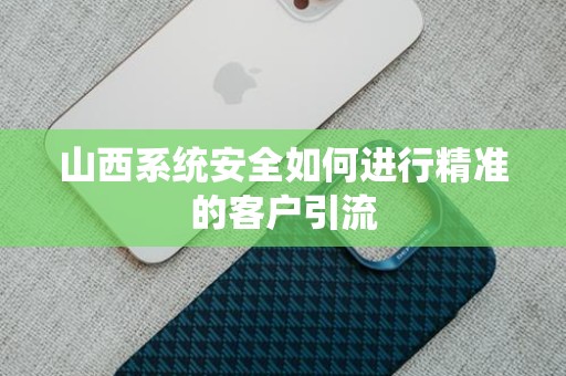 山西系统安全如何进行精准的客户引流
