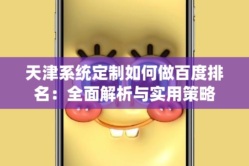 天津系统定制如何做百度排名：全面解析与实用策略