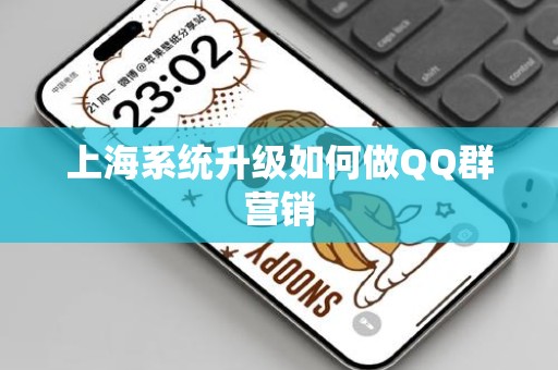 上海系统升级如何做QQ群营销