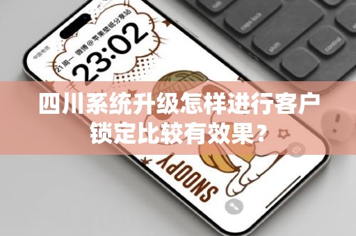 四川系统升级怎样进行客户锁定比较有效果？