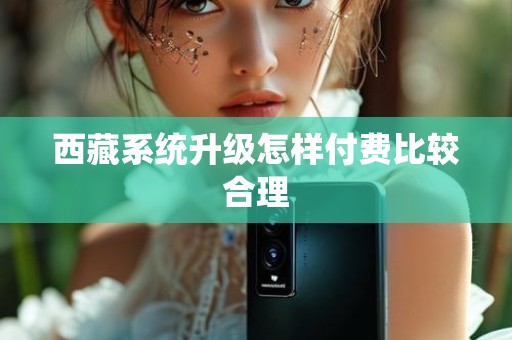 西藏系统升级怎样付费比较合理
