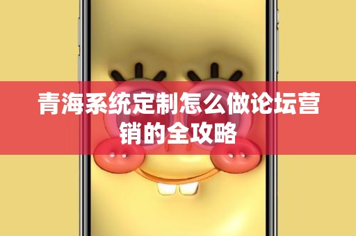 青海系统定制怎么做论坛营销的全攻略