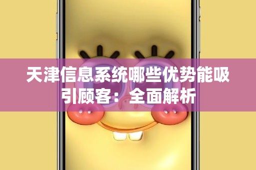天津信息系统哪些优势能吸引顾客：全面解析