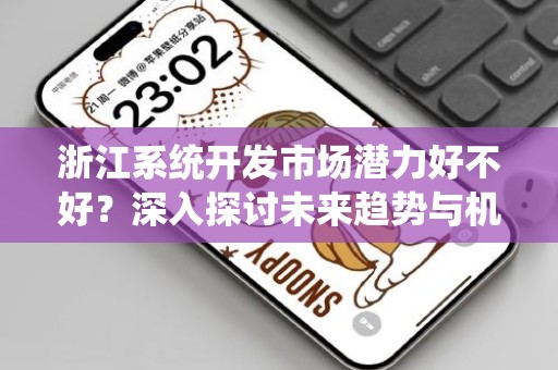 浙江系统开发市场潜力好不好？深入探讨未来趋势与机会