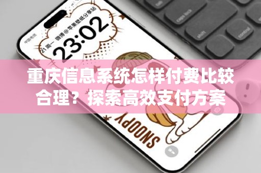 重庆信息系统怎样付费比较合理？探索高效支付方案