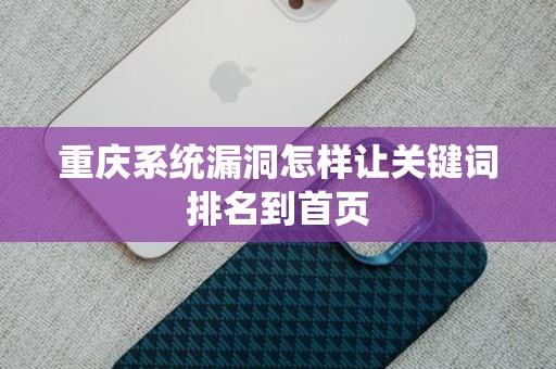 重庆系统漏洞怎样让关键词排名到首页