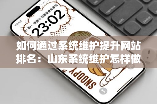如何通过系统维护提升网站排名：山东系统维护怎样做网站排名