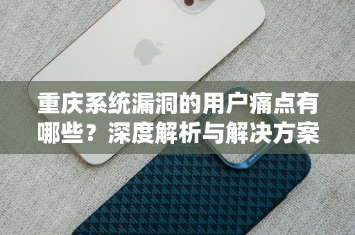 重庆系统漏洞的用户痛点有哪些？深度解析与解决方案